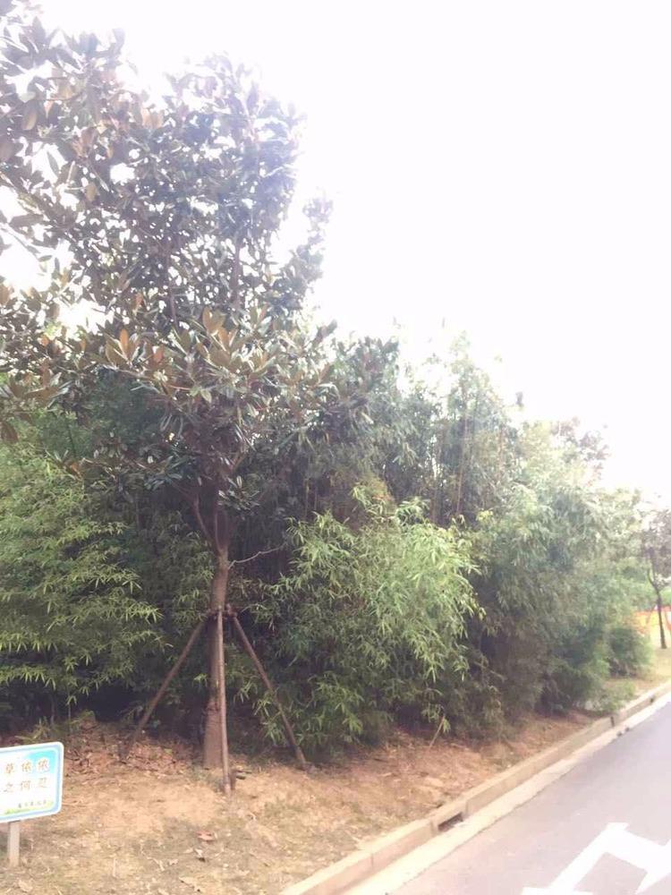 上海星金家园二手房房源图片