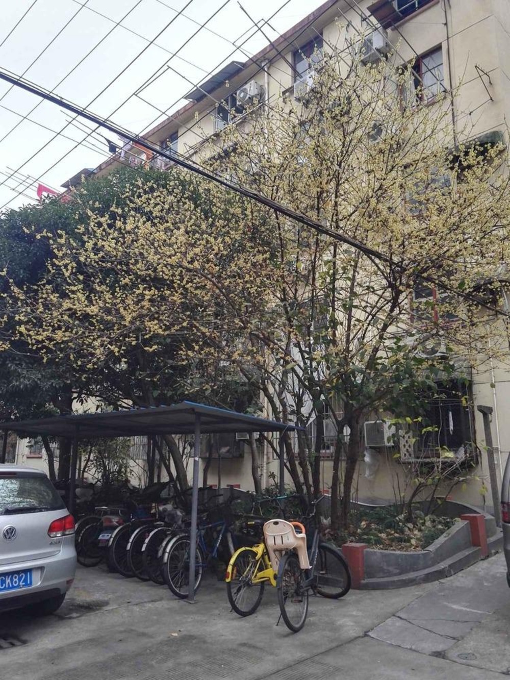 上海康健路100弄小区二手房房源图片