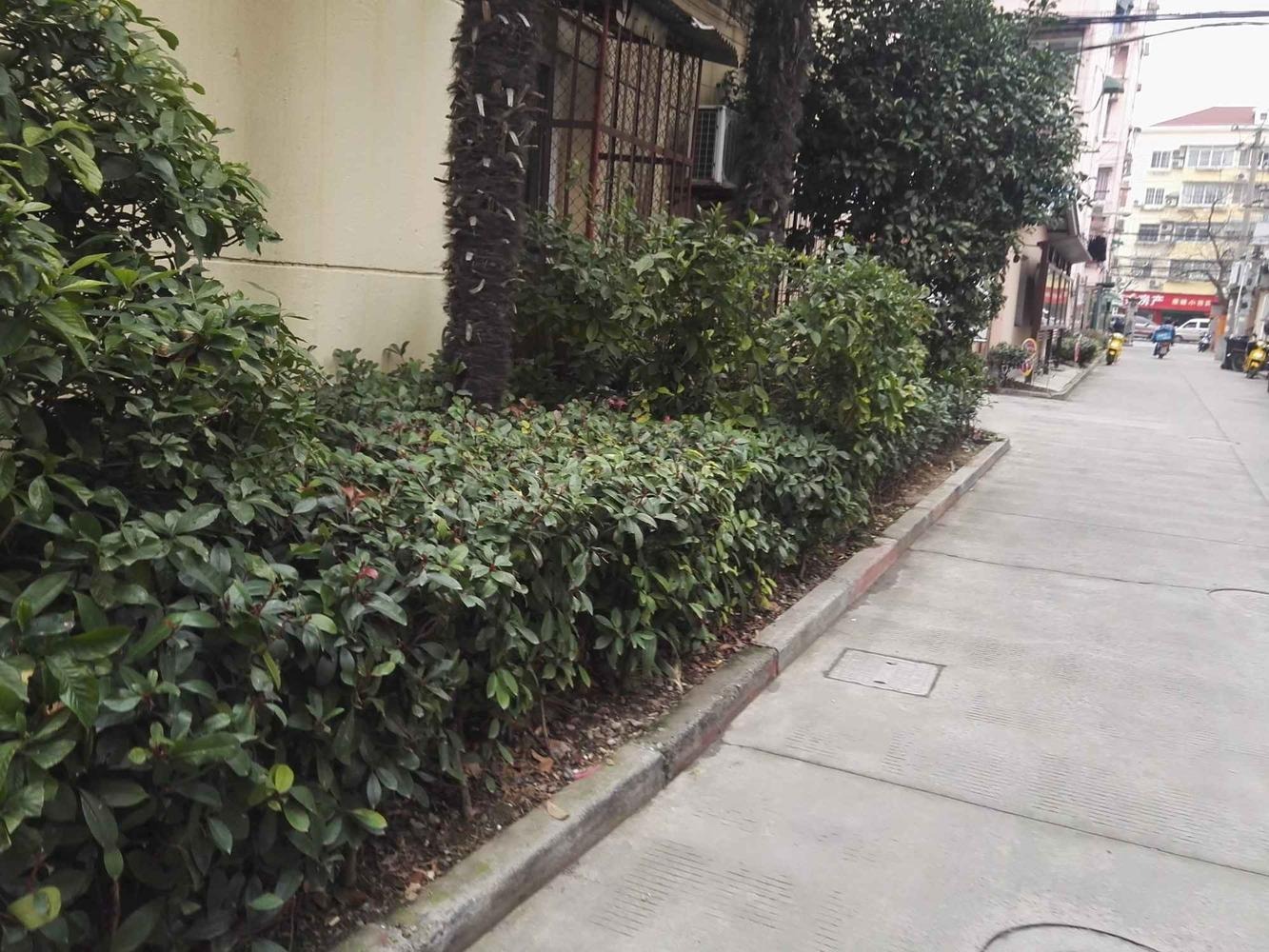 上海康健路100弄小区二手房房源图片