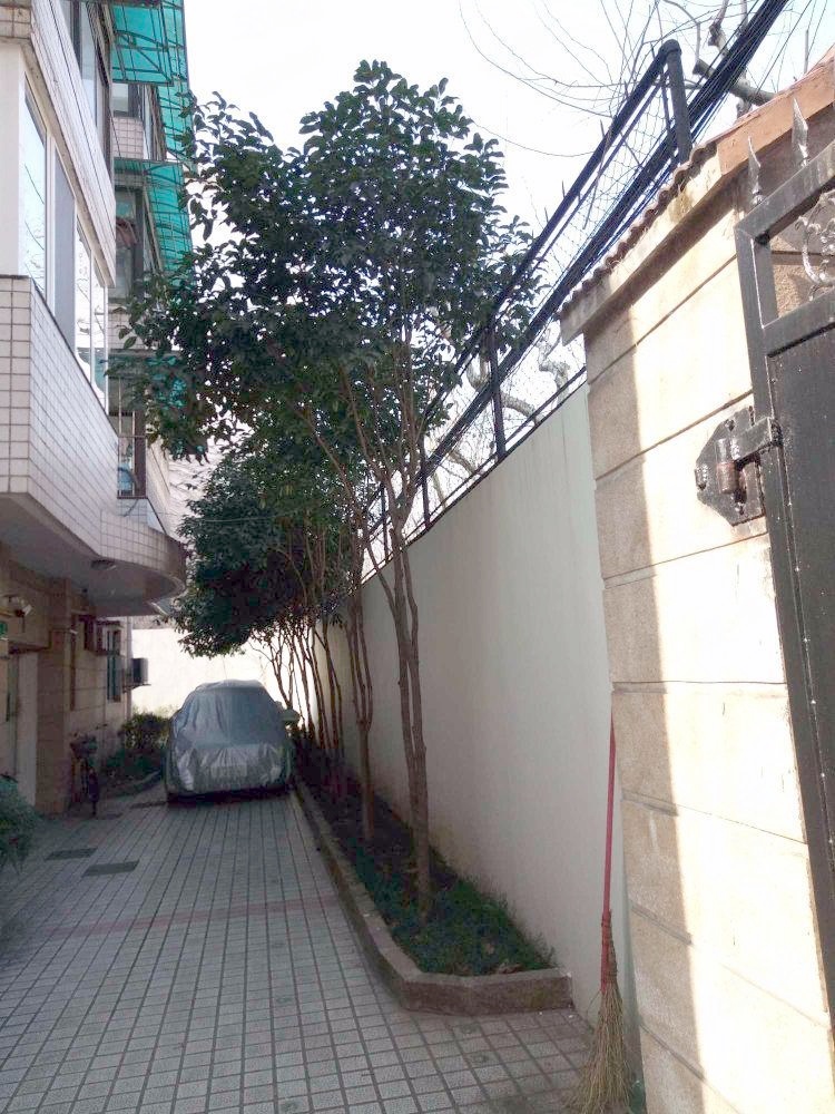 上海复兴中路1321弄小区二手房房源图片