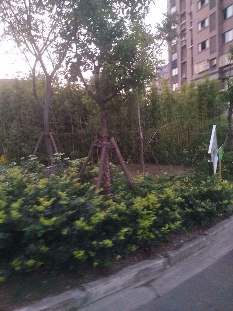 上海嘉海雅苑(东区)二手房房源图片