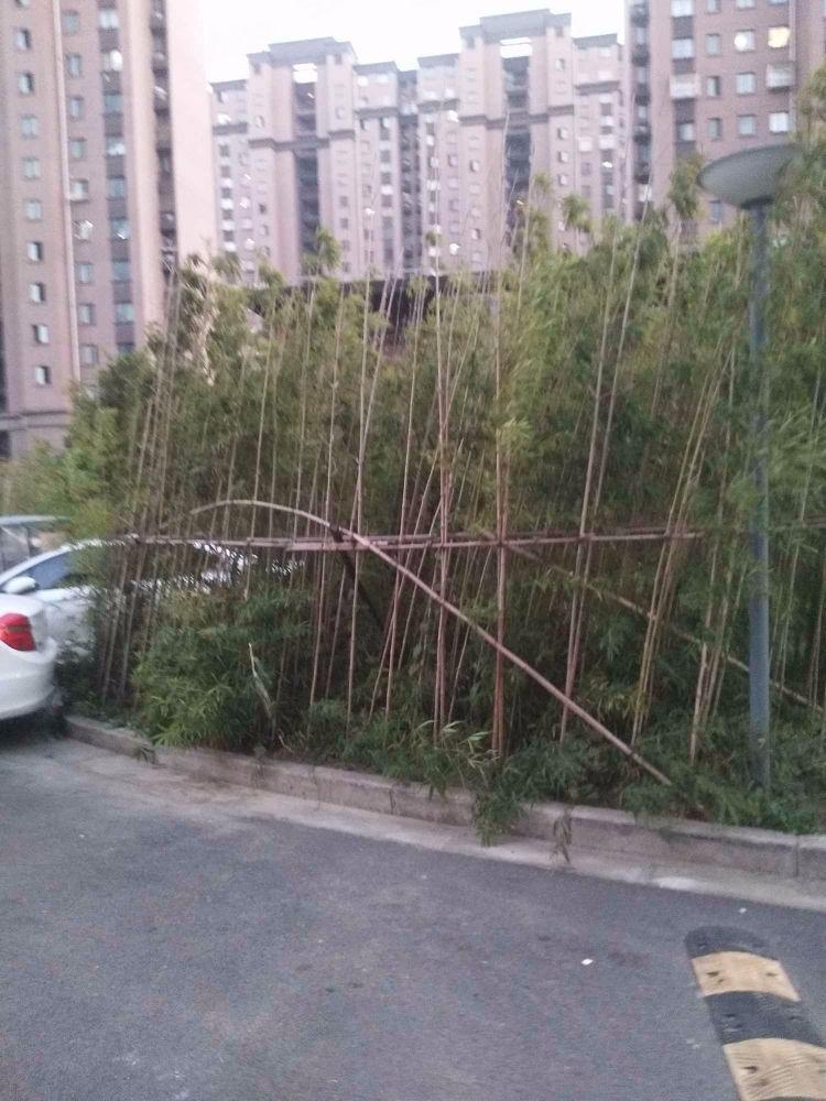 上海嘉海雅苑(东区)二手房房源图片