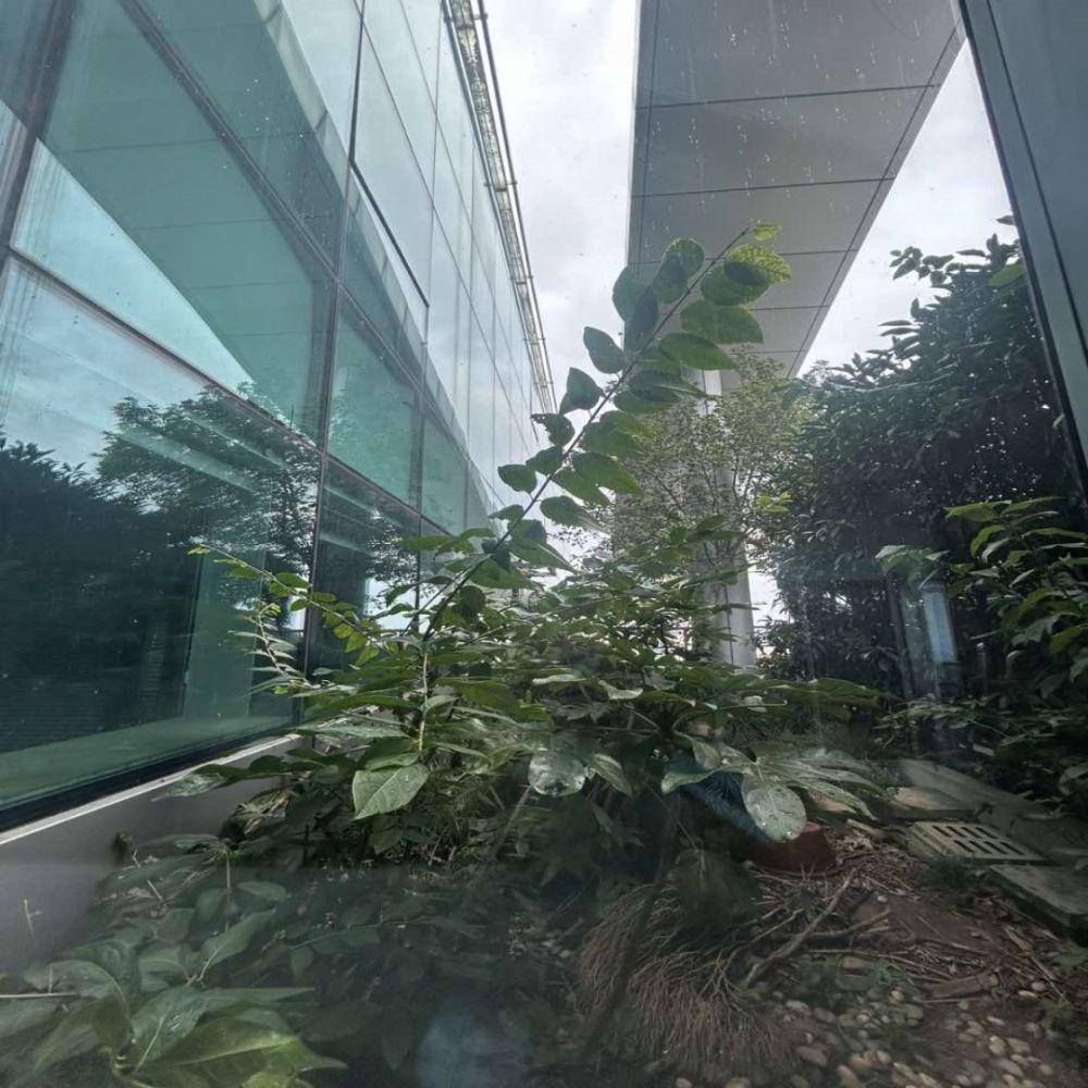 上海飞洲国际广场(办公)二手房房源图片