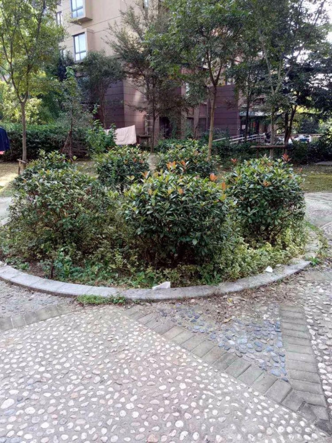 上海馨佳园十一街坊二手房房源图片