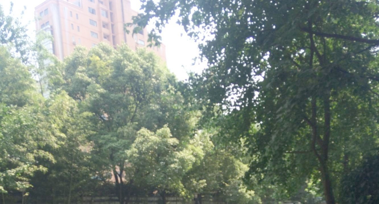 上海太原邸二手房房源图片