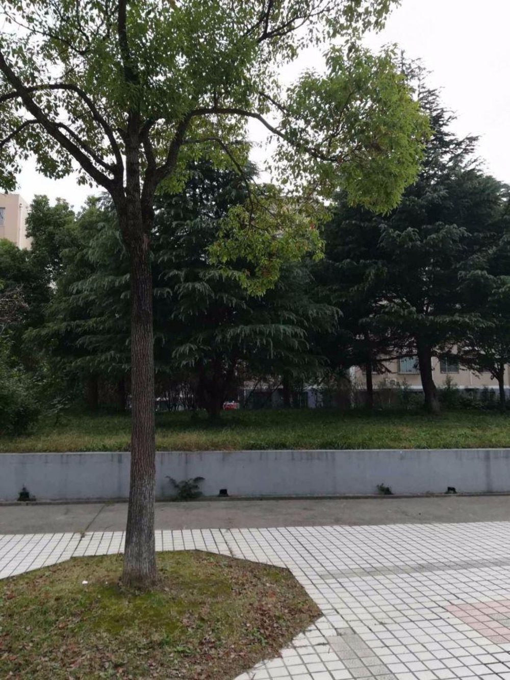 上海新高苑雅园二手房房源图片