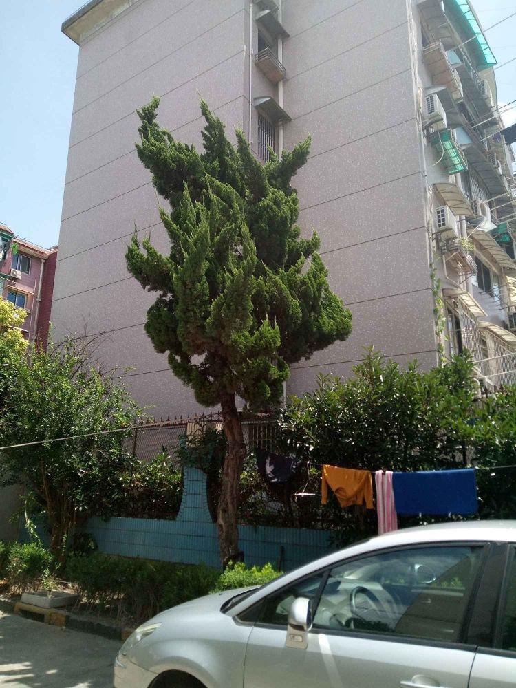 上海临汾路1320弄小区二手房房源图片