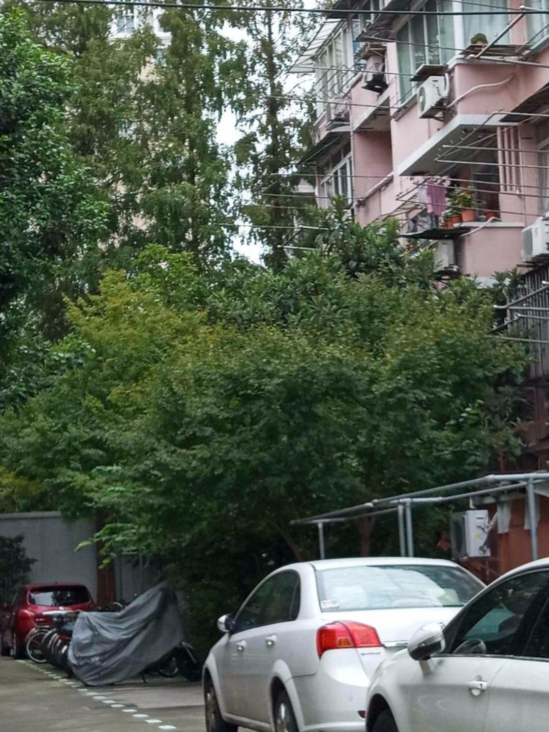 上海锦程小区二手房房源图片