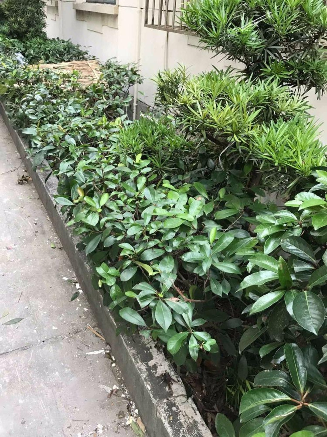 上海武定坊二手房房源图片