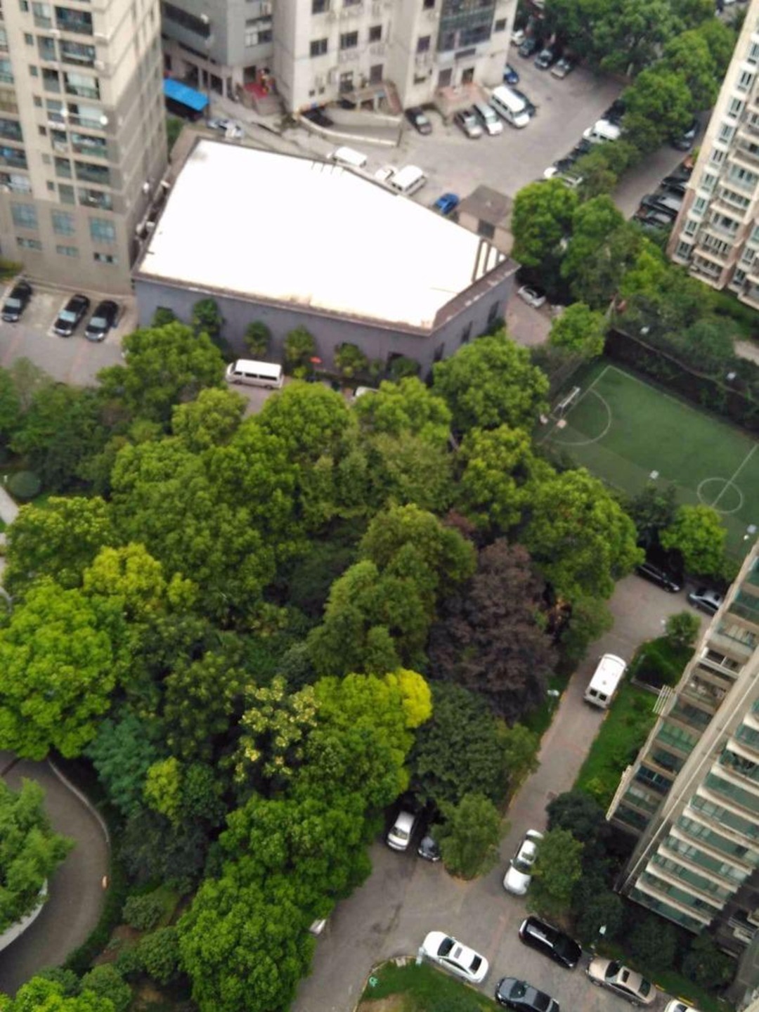 上海金轩大邸二手房房源图片