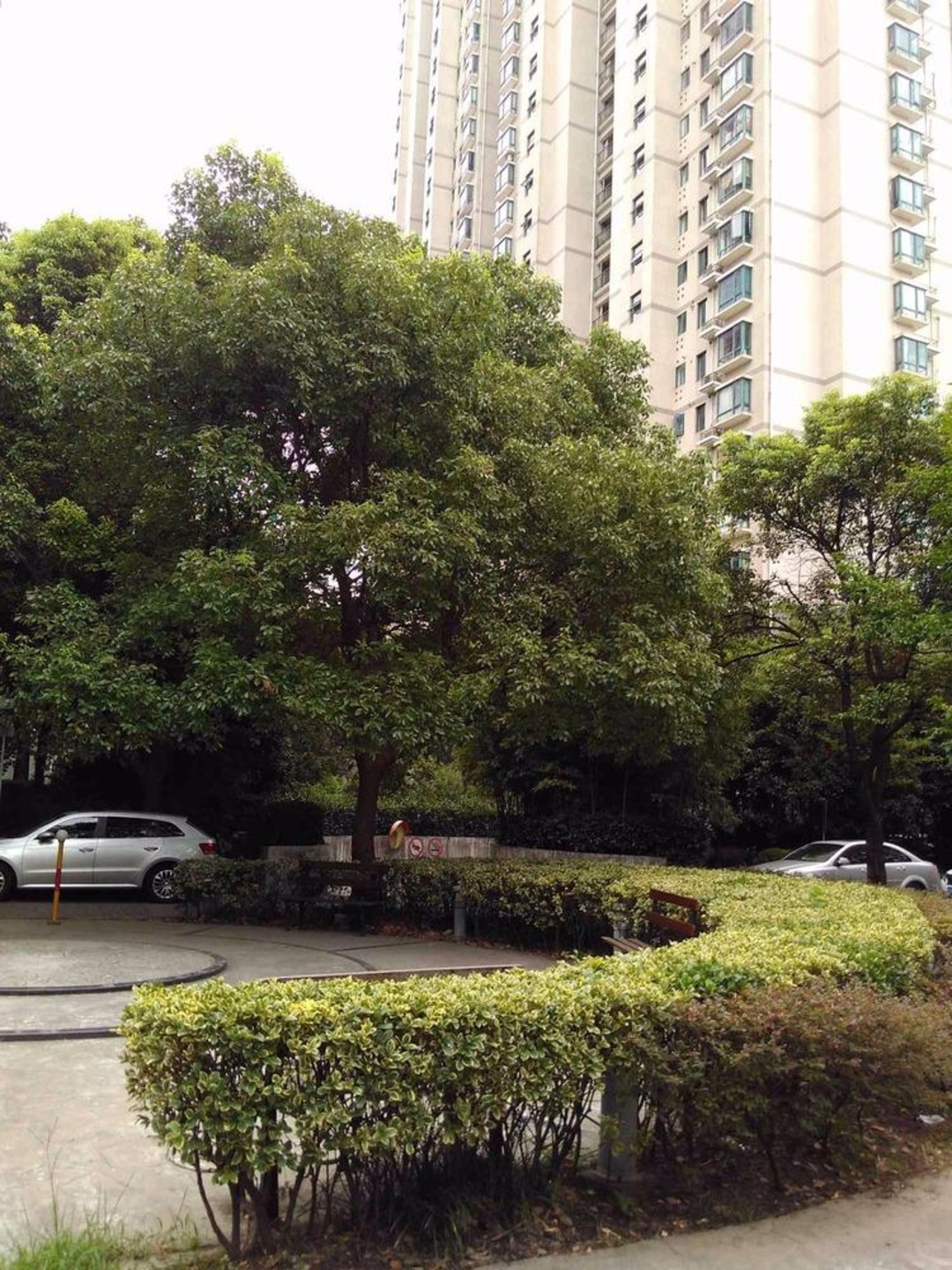 上海金轩大邸二手房房源图片