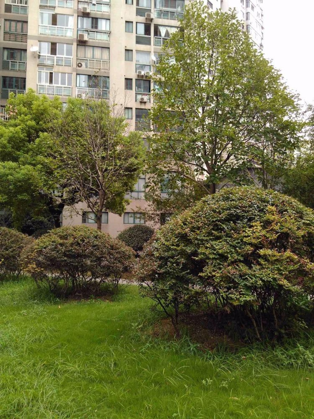 上海金轩大邸二手房房源图片