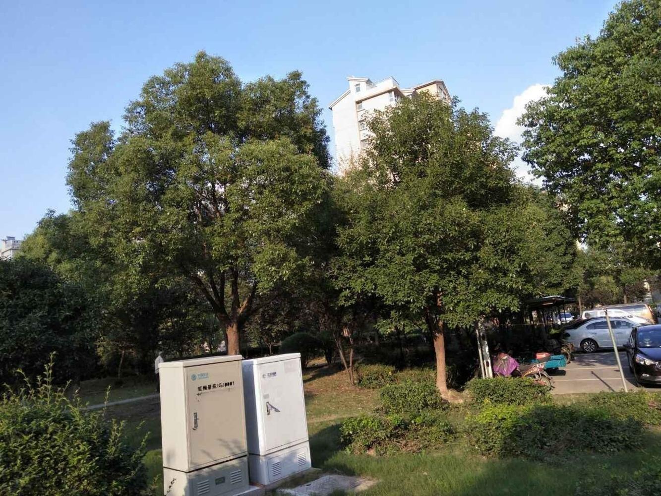 上海虹梅景苑一街坊二手房房源图片