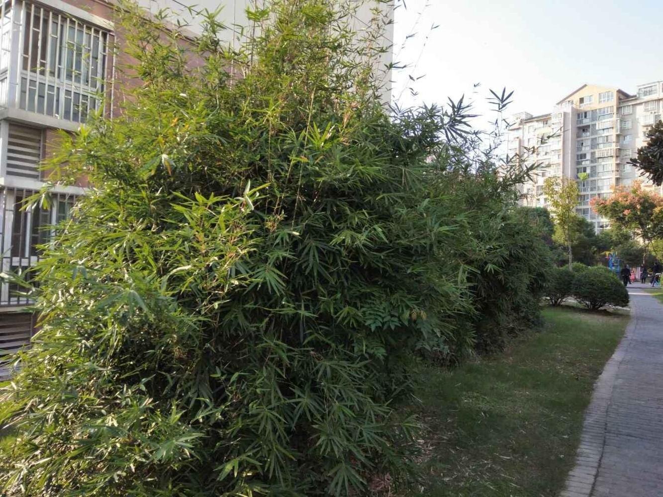 上海虹梅景苑一街坊二手房房源图片