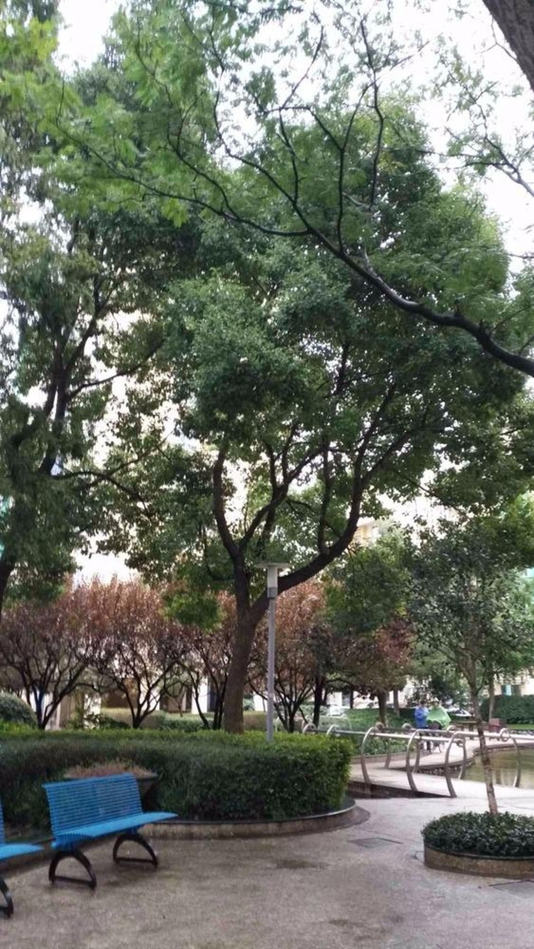 上海万科华尔兹花园二手房房源图片