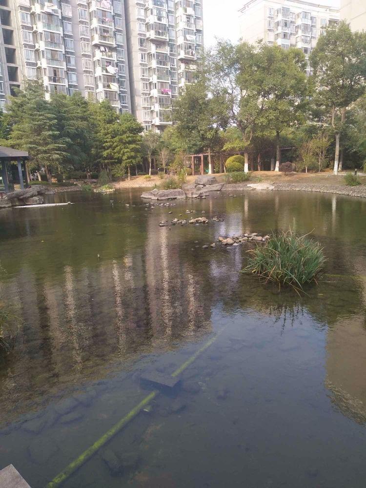 上海汇丰沁苑(北区)二手房房源图片