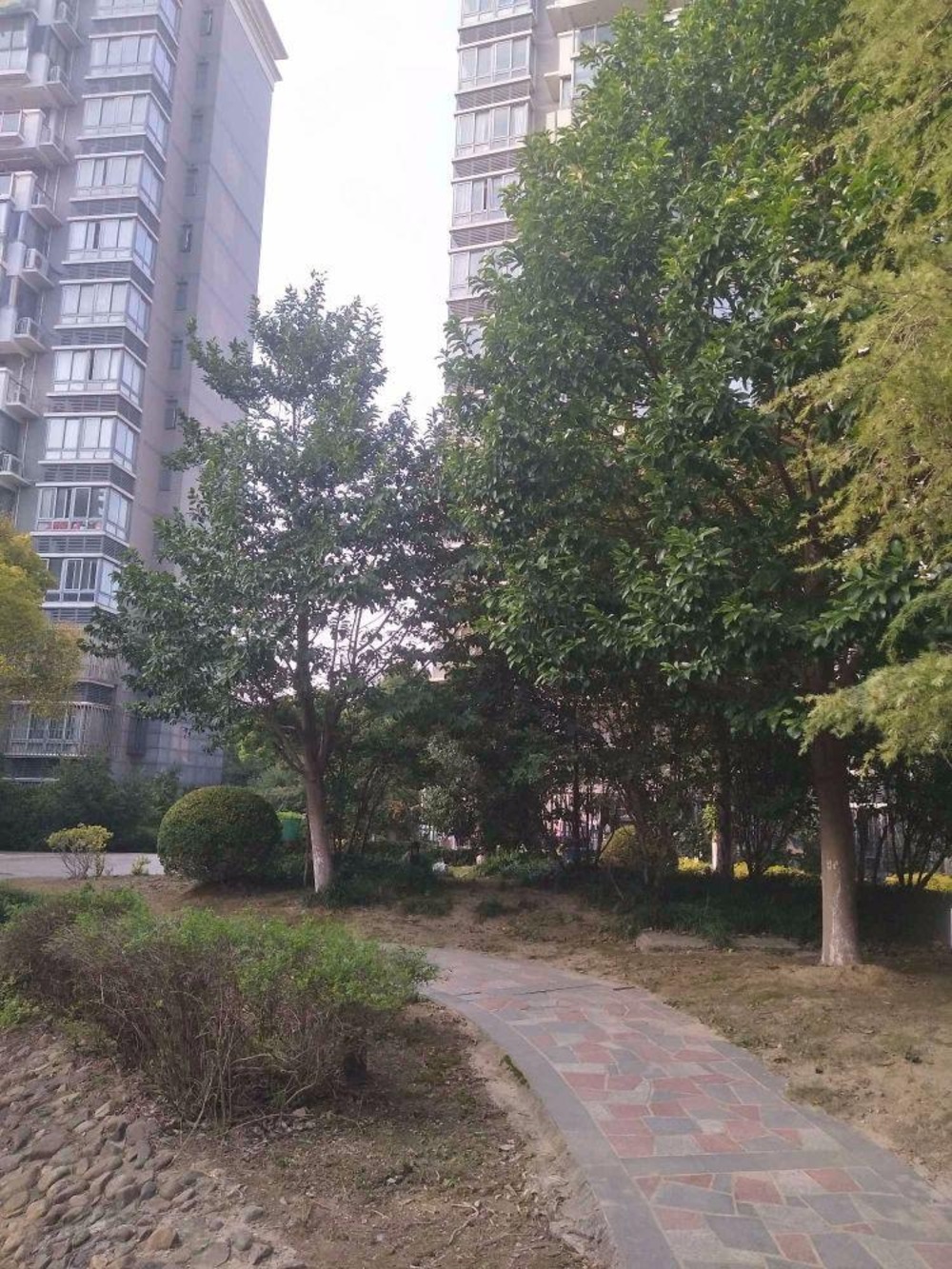 上海汇丰沁苑(北区)二手房房源图片