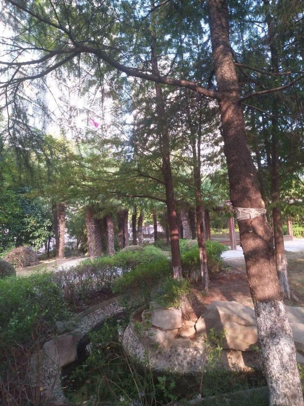 上海汇丰沁苑(北区)二手房房源图片