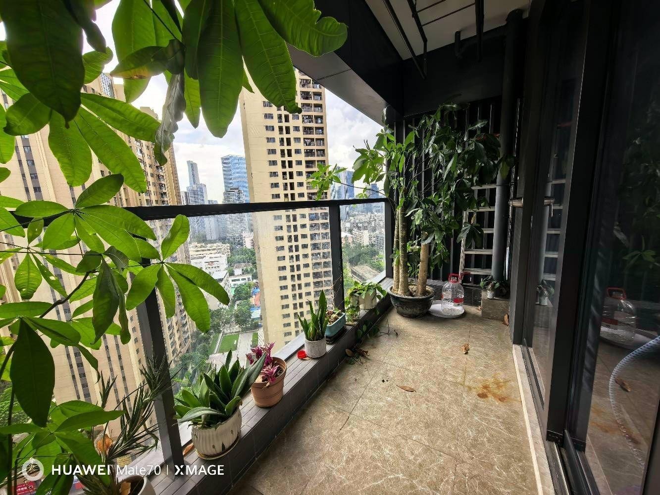 上海康健路2号楼二手房房源图片