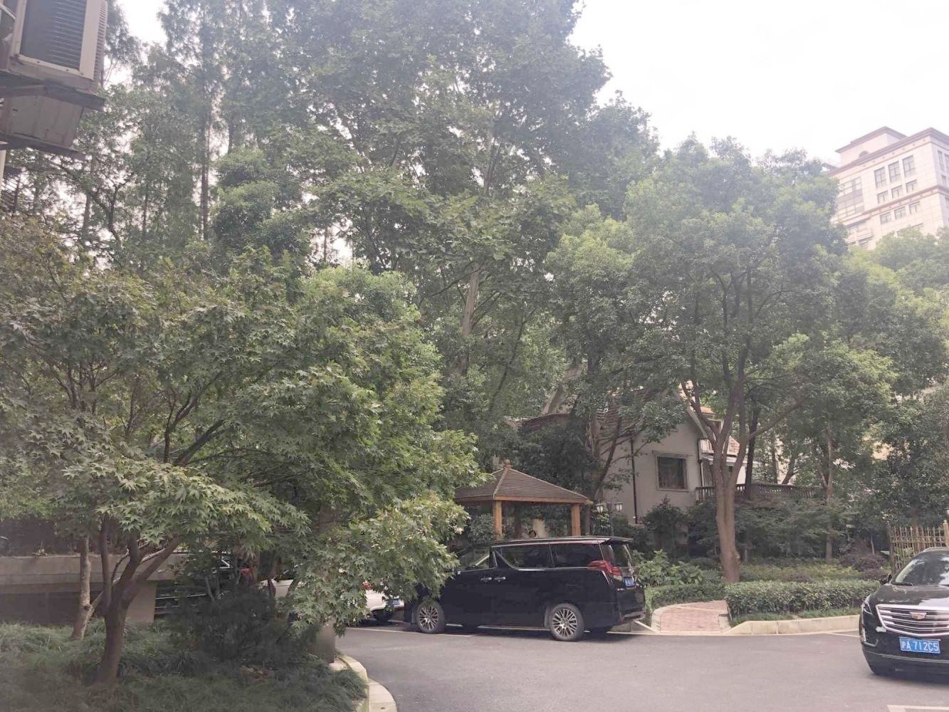 上海徐汇一品苑二手房房源图片