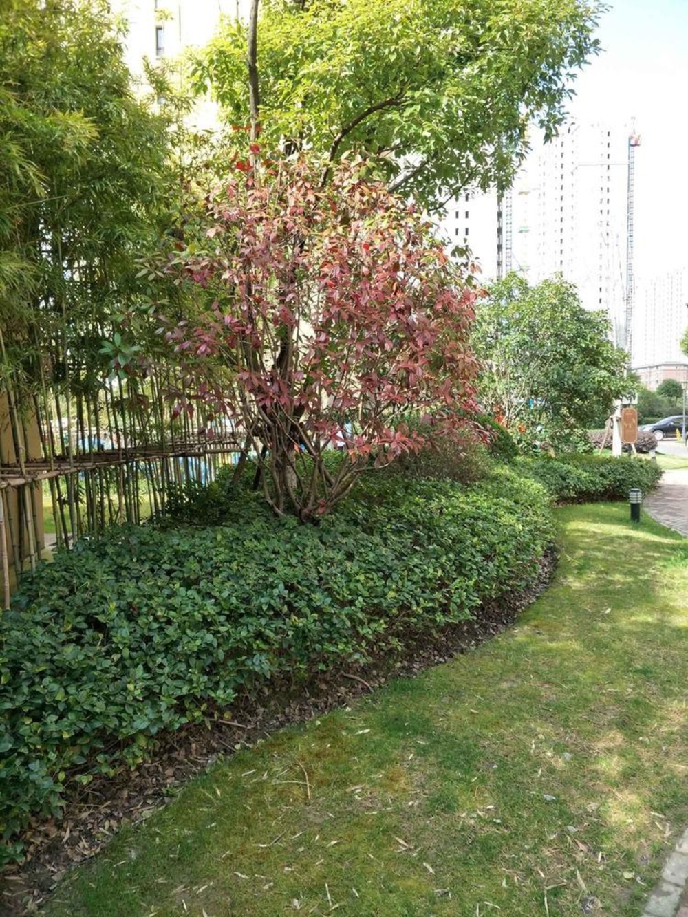 上海旭辉锦庭(西区)二手房房源图片