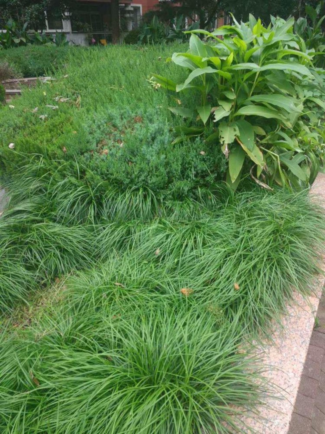 上海泰宸新苑二手房房源图片