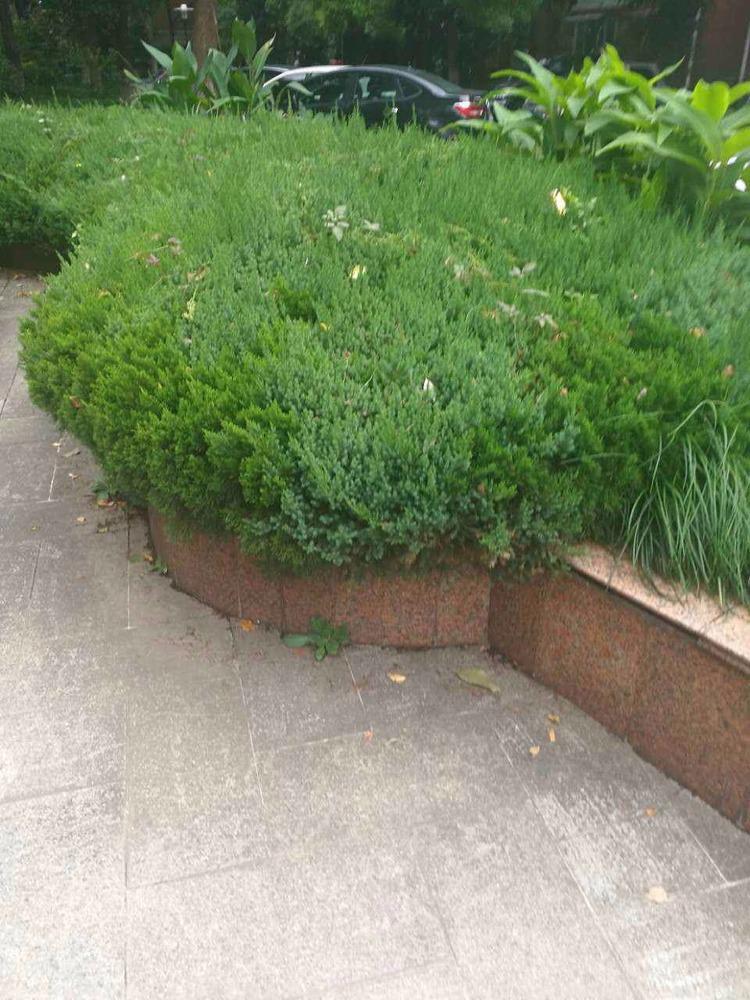 上海泰宸新苑二手房房源图片