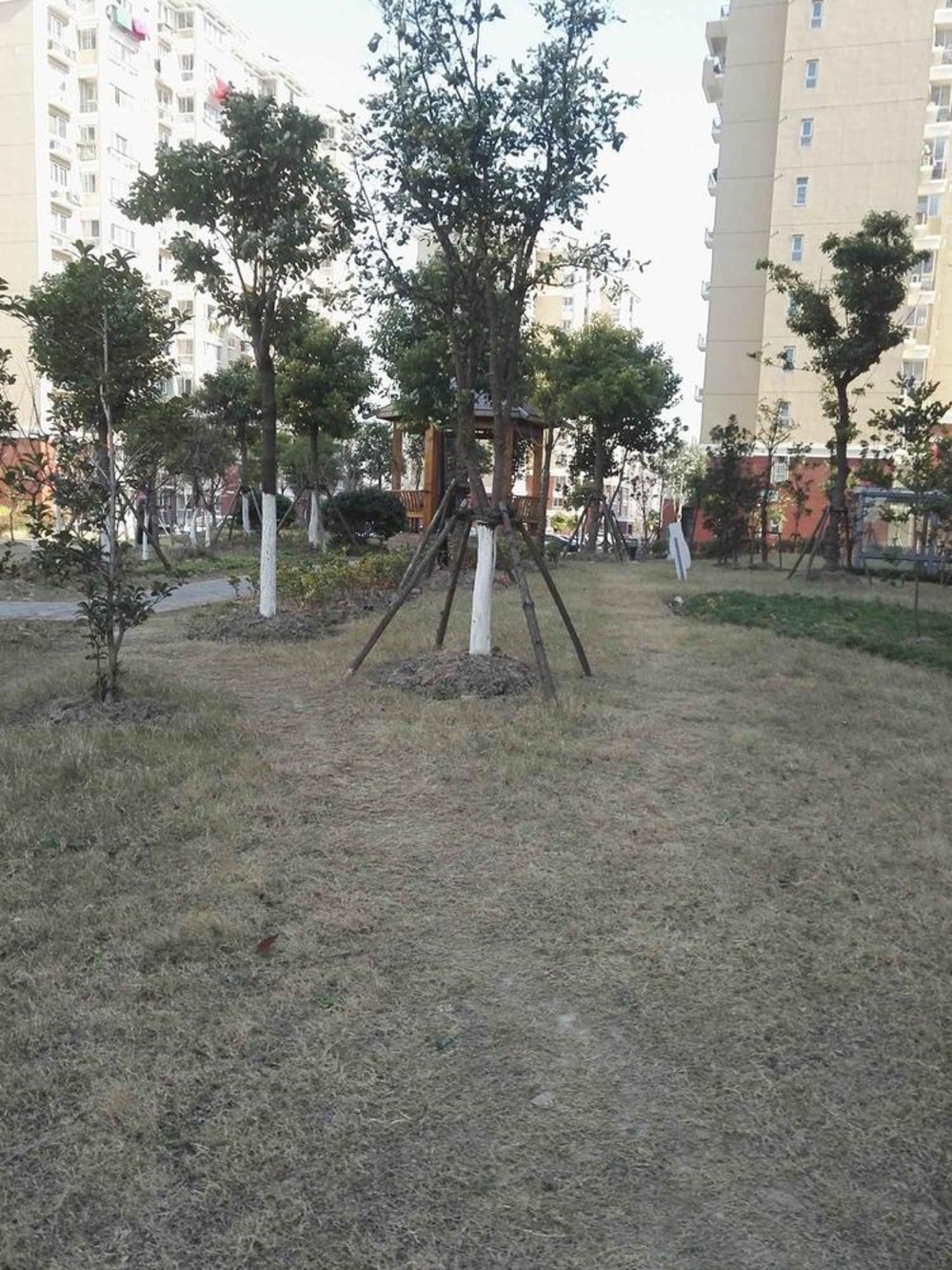 上海塘泾北苑二手房房源图片