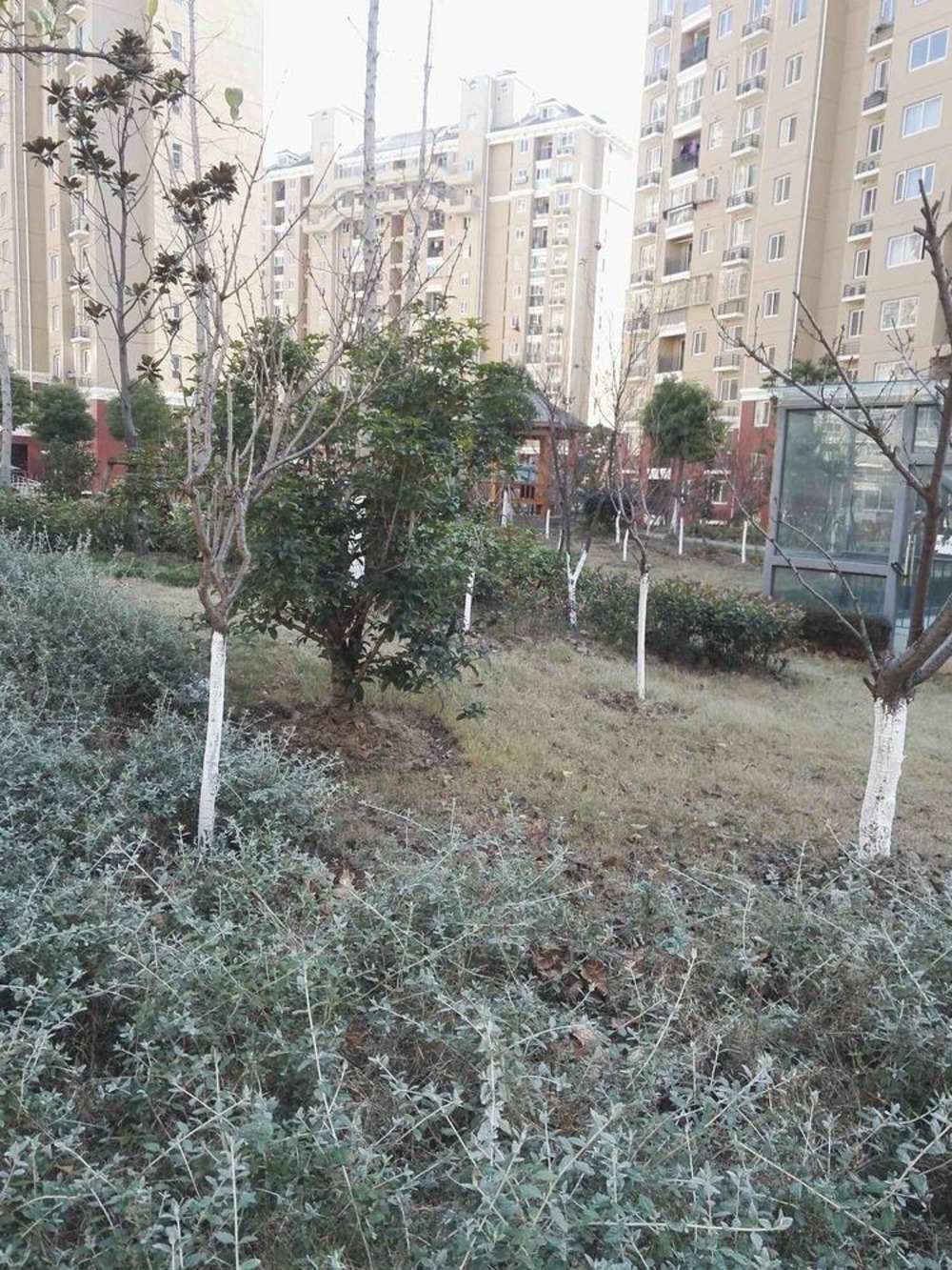 上海塘泾北苑二手房房源图片