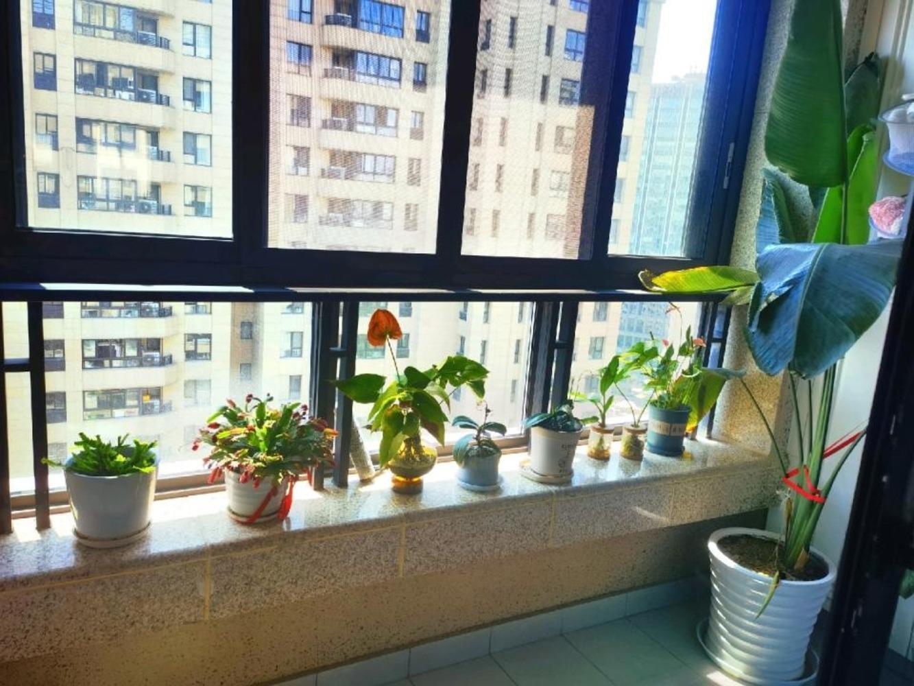 上海徐汇公园道壹号二手房房源图片