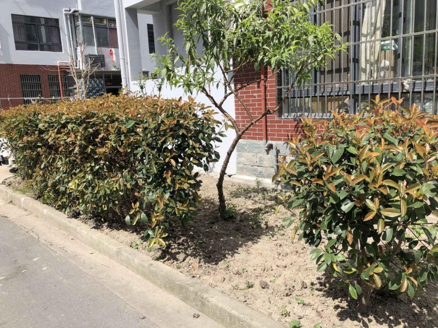上海龙洲苑二手房房源图片