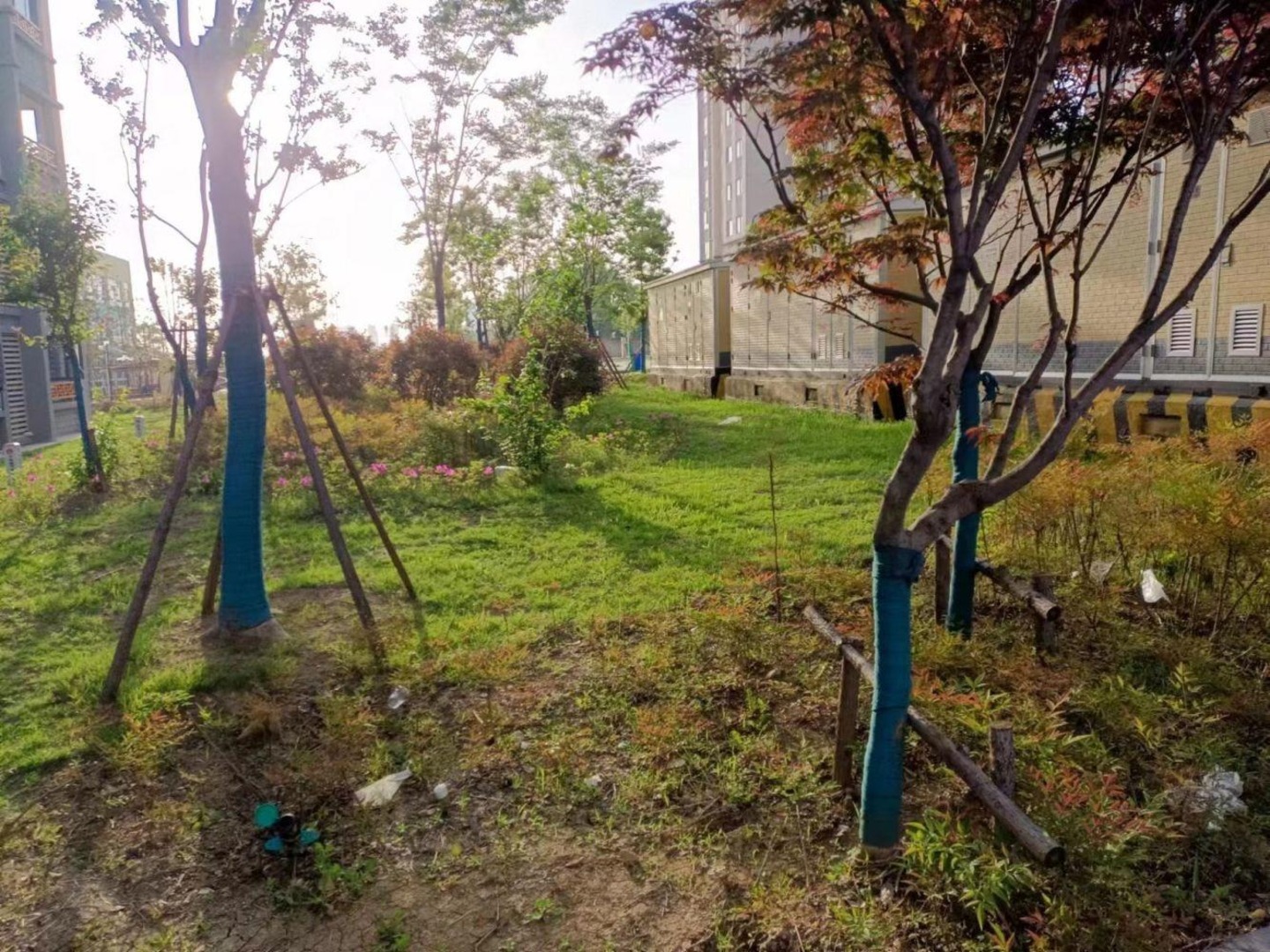 上海远洋财富中心二手房房源图片