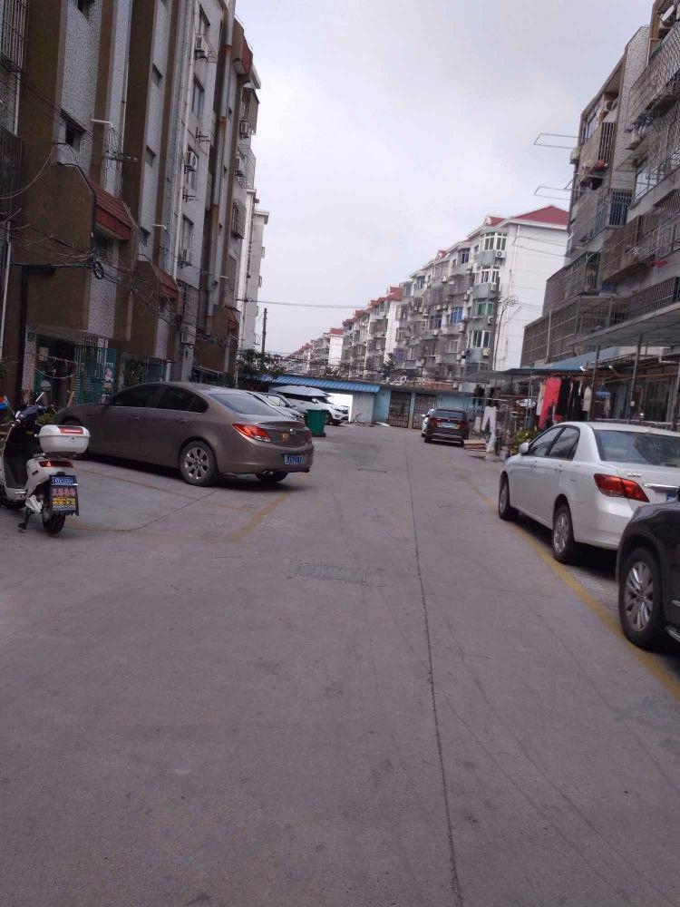 上海临丰小区二手房房源图片