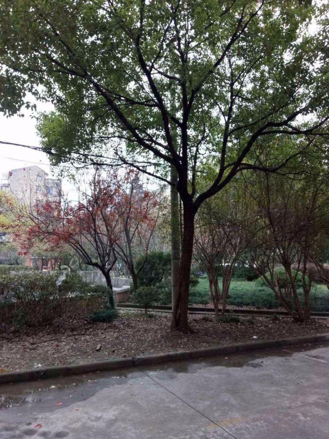 上海罗阳新村二手房房源图片