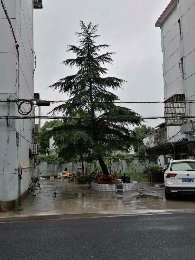 上海银华苑(浦东)二手房房源图片