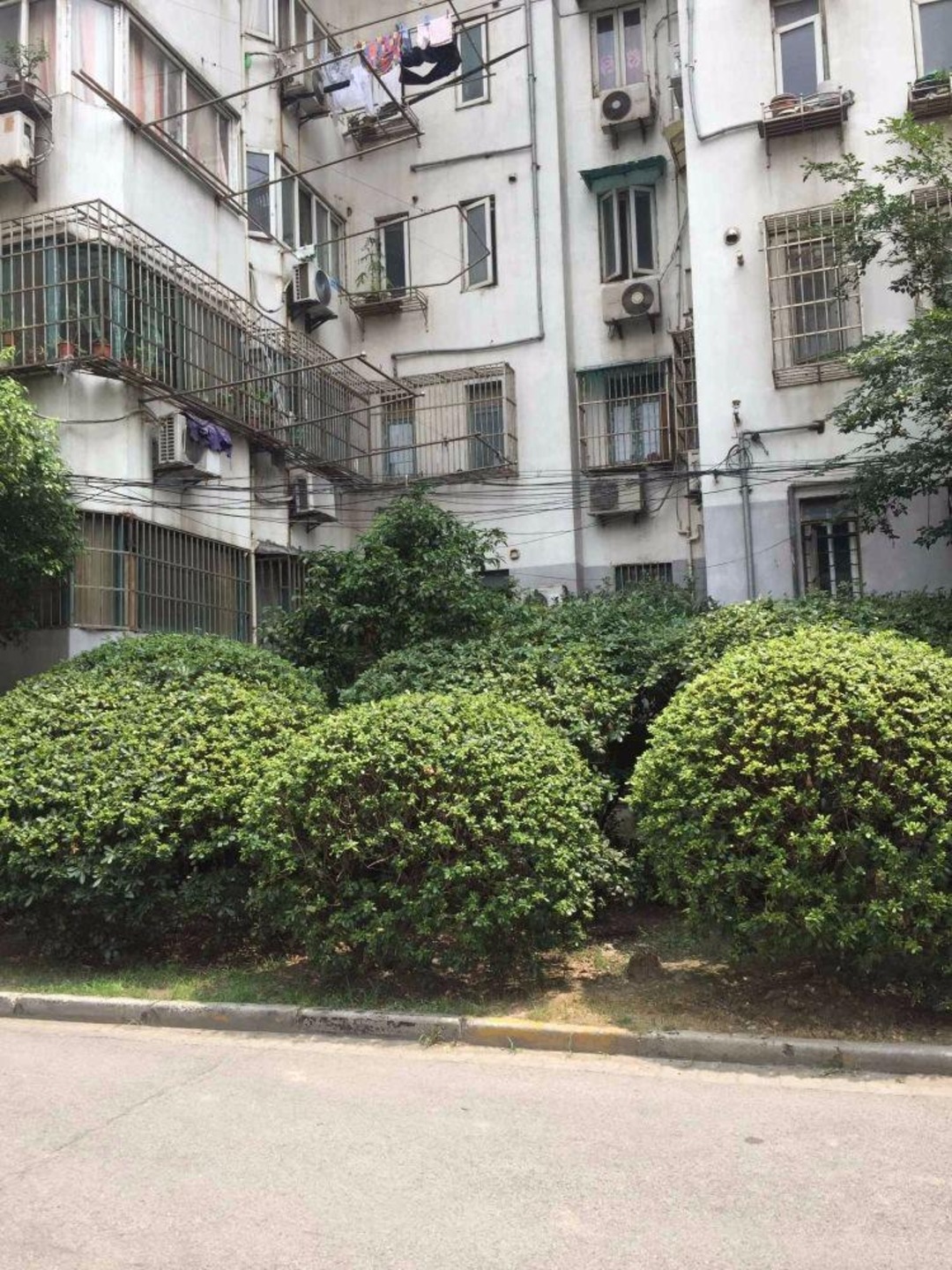 上海协和公寓二手房房源图片