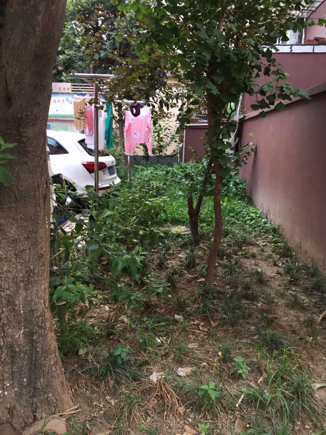 上海石岚二村二手房房源图片