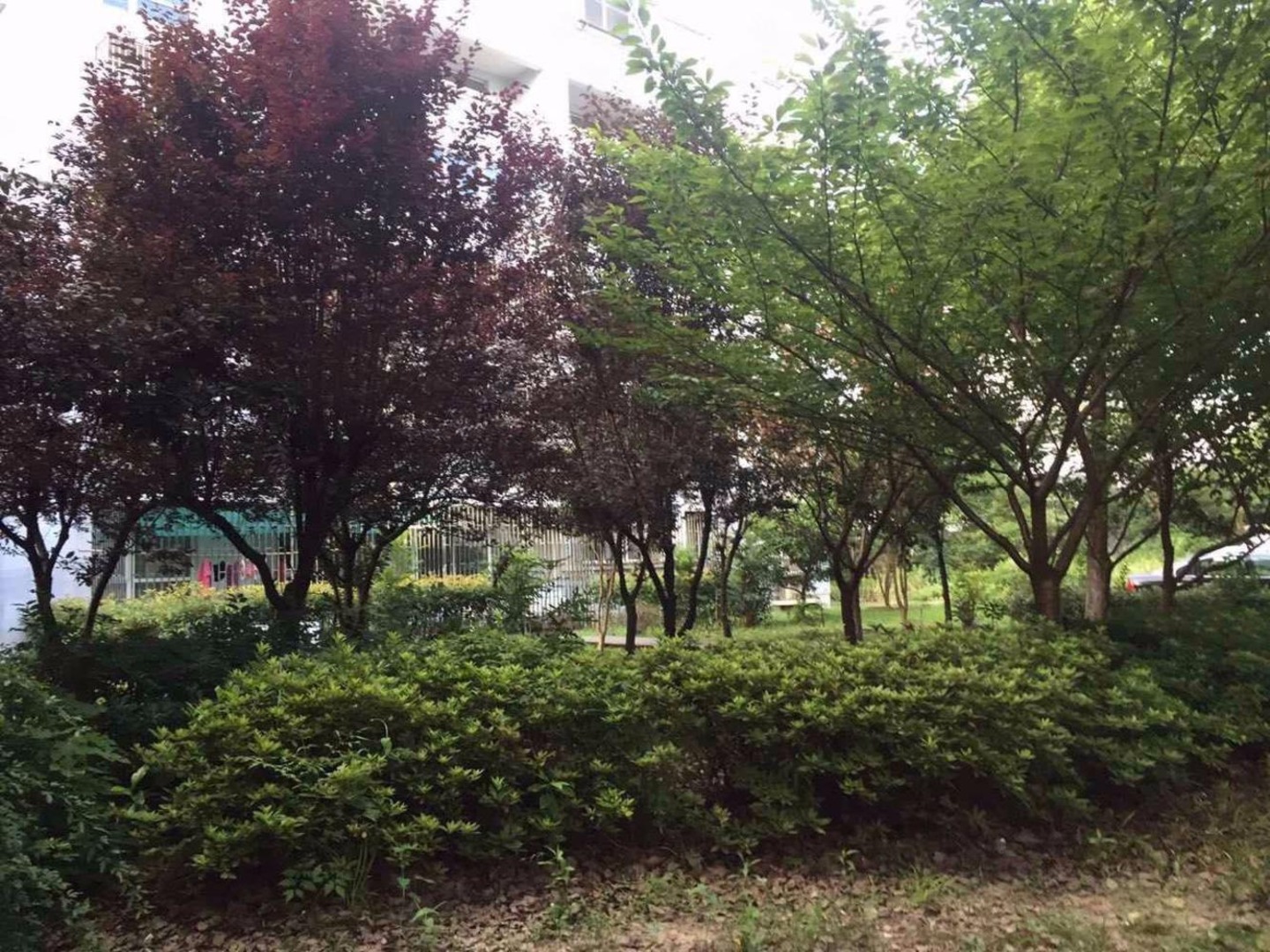 上海银丰苑二手房房源图片