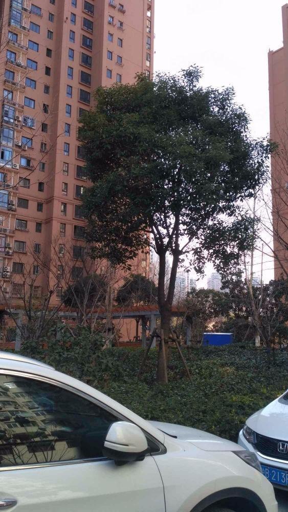 上海中春路2100号二手房房源图片