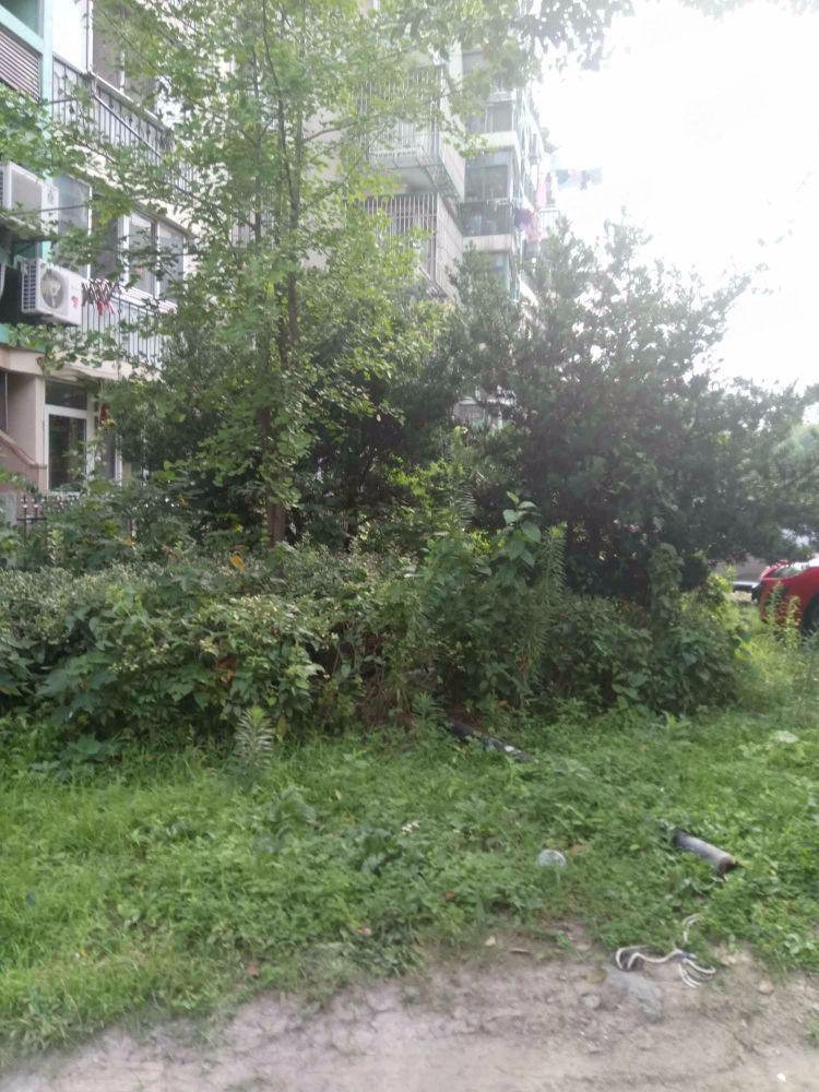 上海上大阳光乾清园二手房房源图片