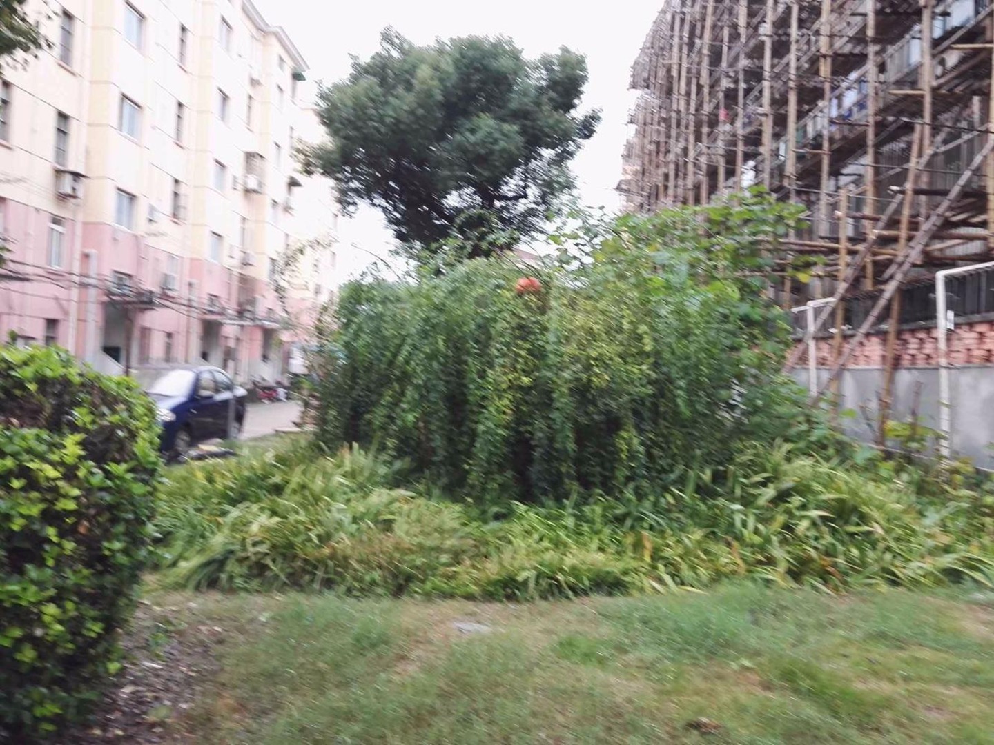 上海人民小区二手房房源图片