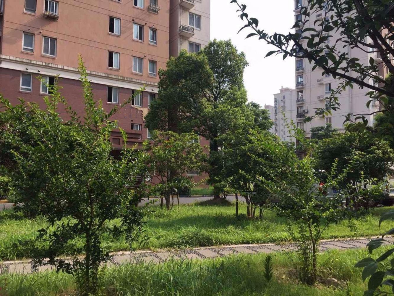 上海中虹家园二手房房源图片