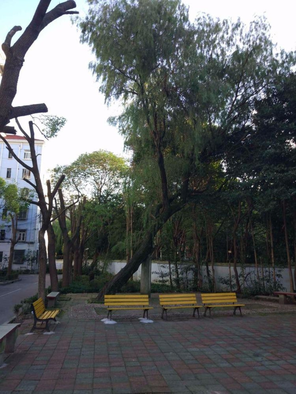 上海东沟六村(南区)二手房房源图片