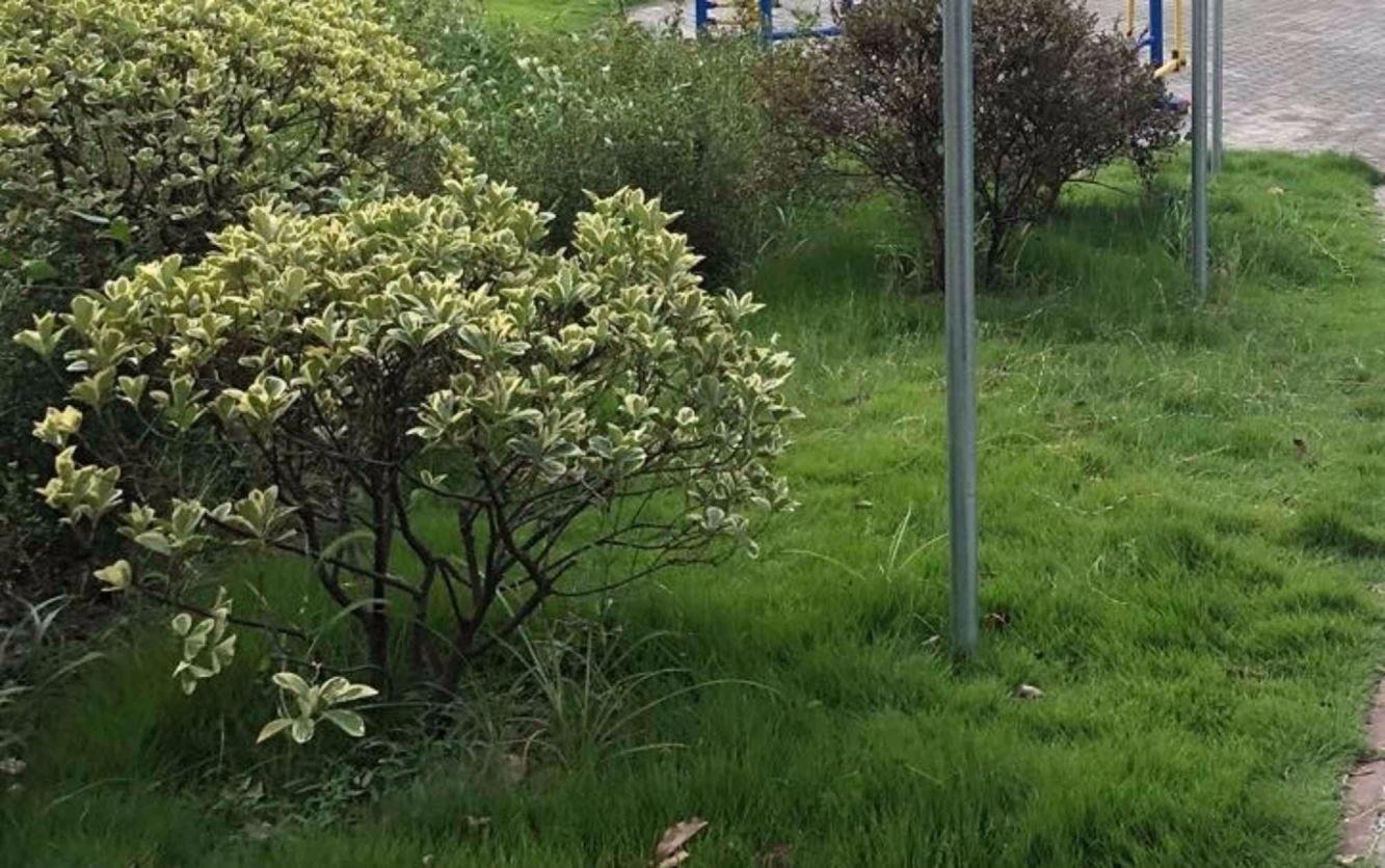 上海申城佳苑三期B块二手房房源图片