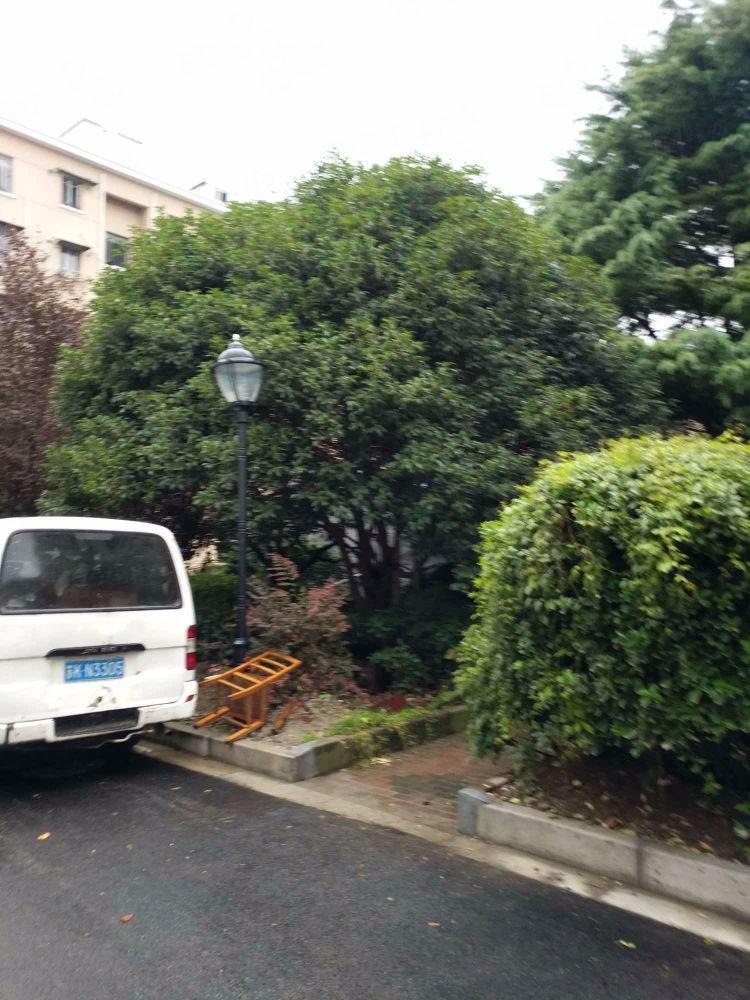 上海龙南四村二手房房源图片