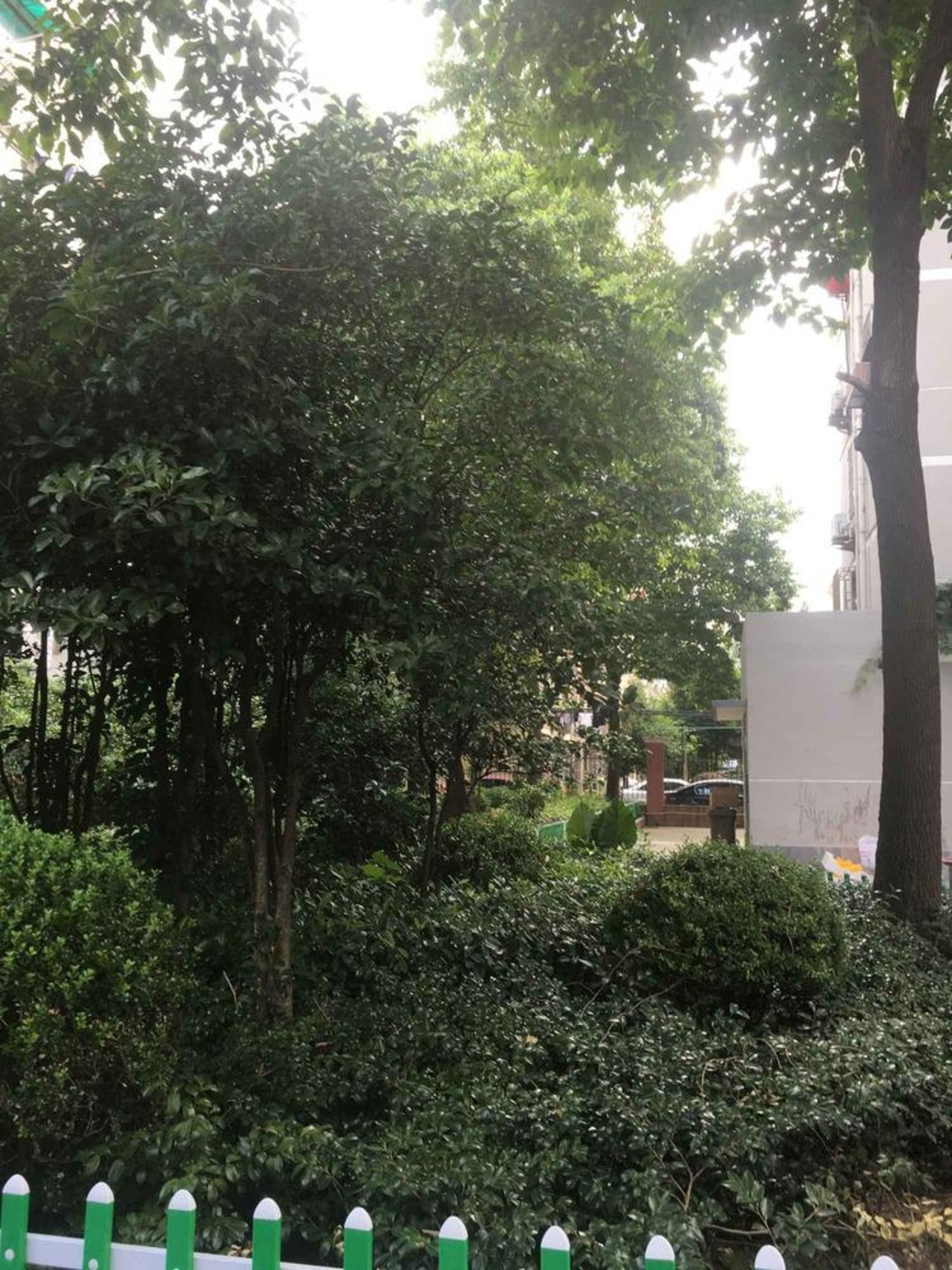 上海双峰小区二手房房源图片