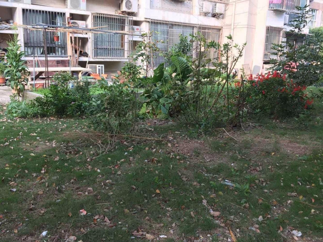 上海浦兴苑二手房房源图片