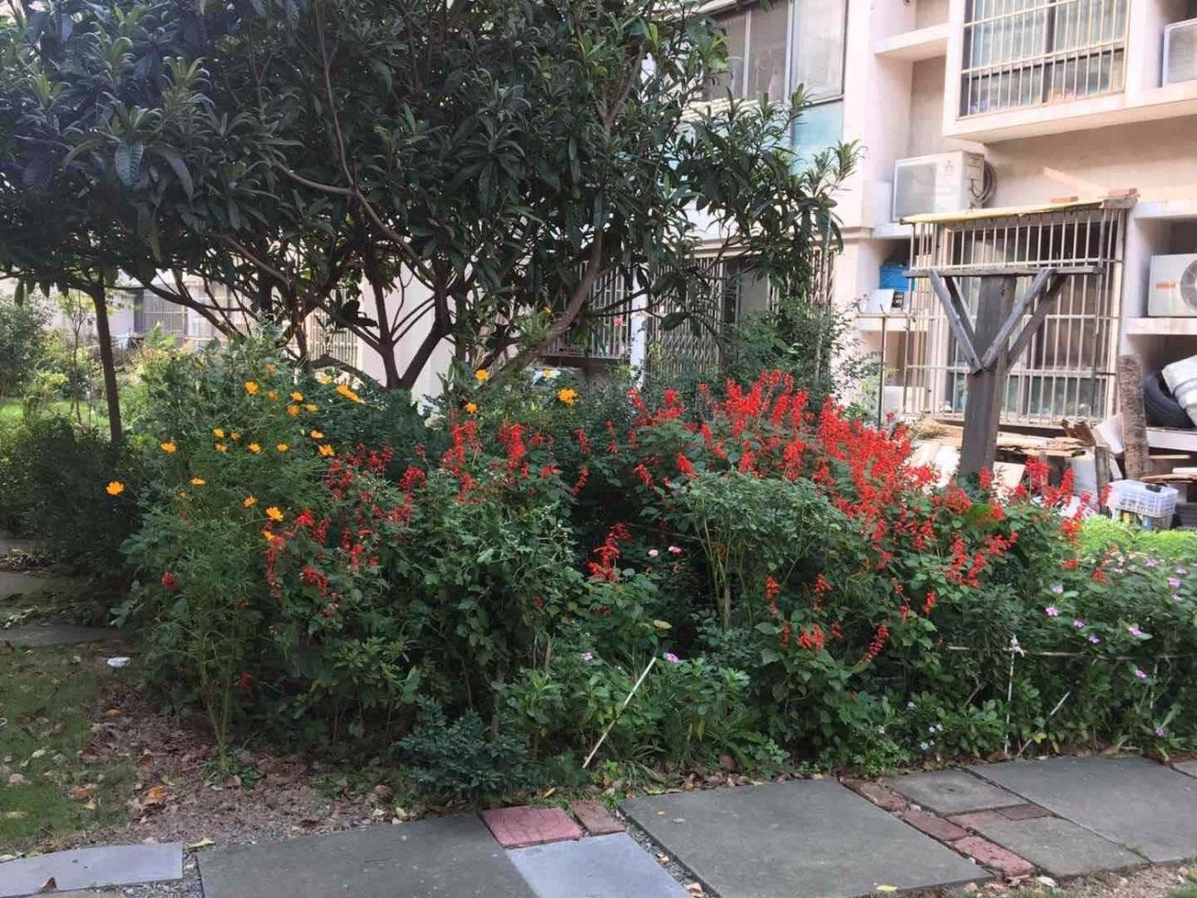 上海浦兴苑二手房房源图片