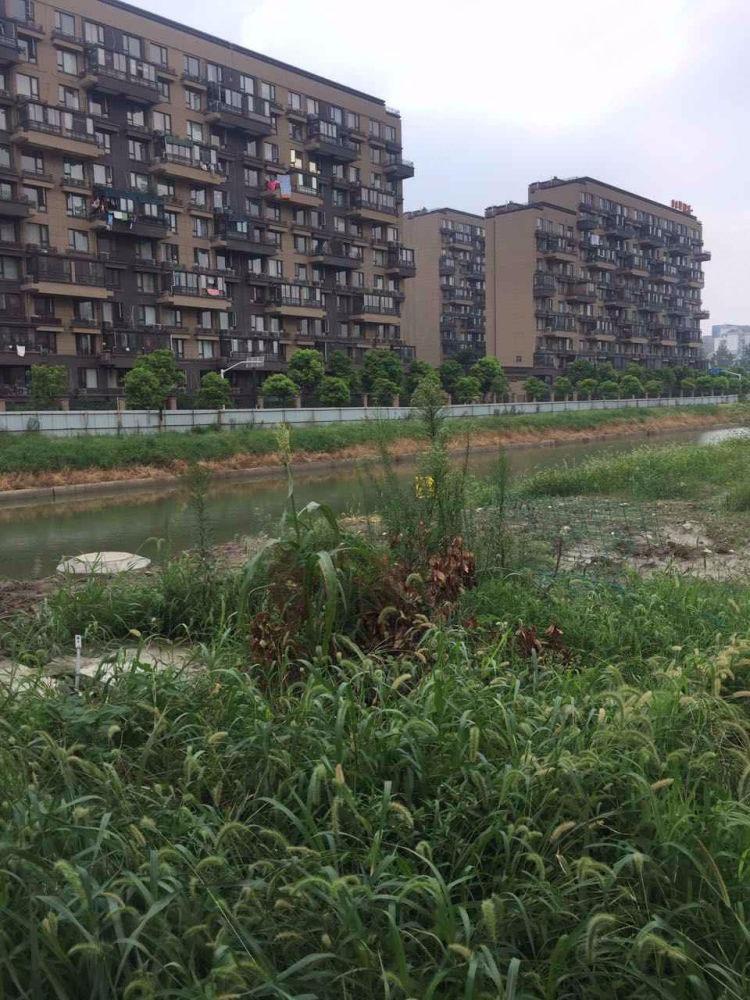 上海万科金色领域(东区)二手房房源图片