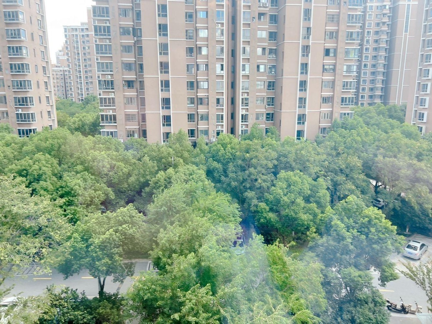 上海御上海青橙二手房房源图片